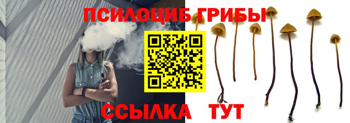 Псилоцибиновые грибы мухоморы  Псилоцибиновые грибы GOLDEN TEACHER  Егорьевск  Вход с VPN 
